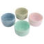 8 oz. Martha Stewart Plat Remekin