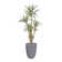 93.1'' Faux Agave Tree in Pot