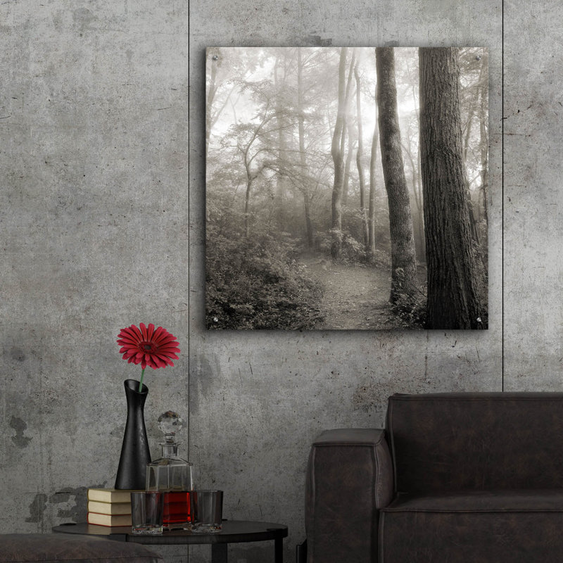 «Woodland Path» par Nicholas Bell, photographie, H 36 po x l 36 po x P 0,2 po