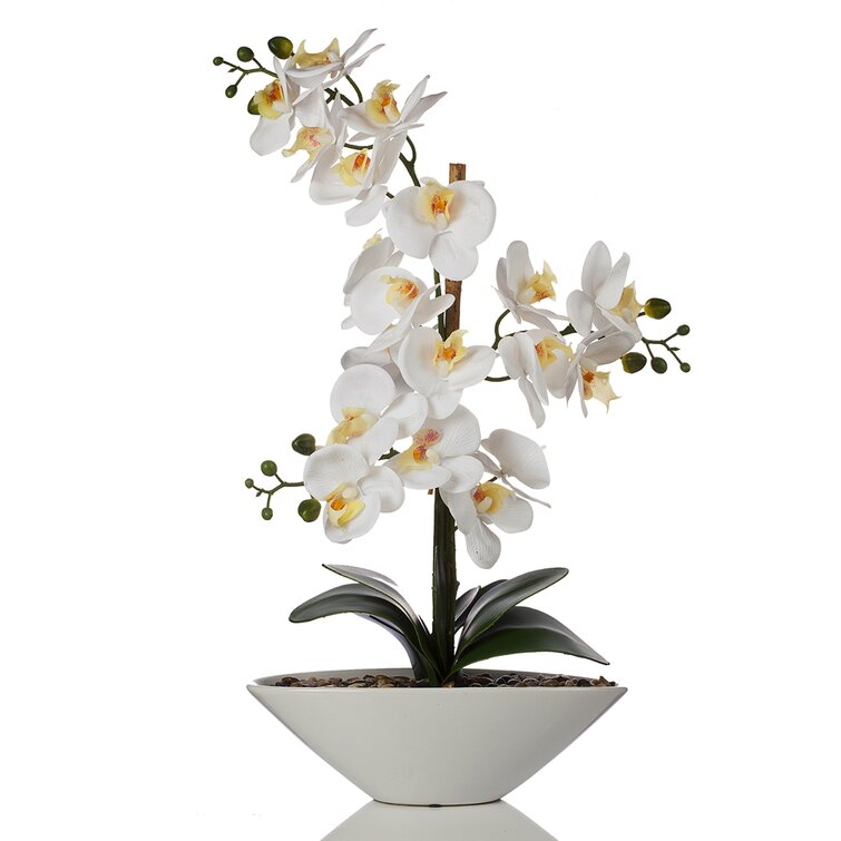 Artificial Real Touch Orchids Floral Arrangement in Pot