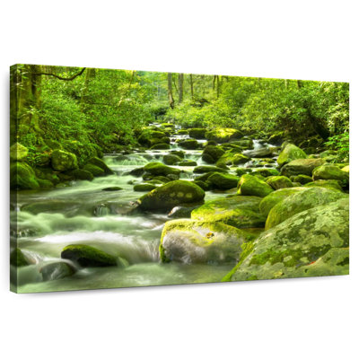 Kerrick Mossy River