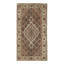 Lowney Cotton Oriental Area Rug in Brown