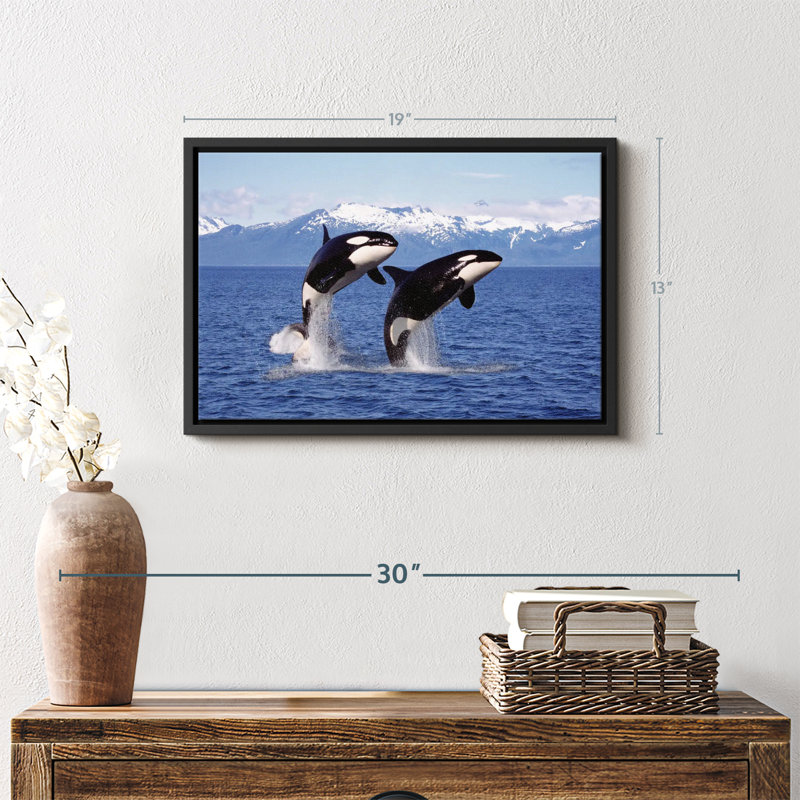 " Jumping Couple Orcas Wall Art ", 13" H x 19" W