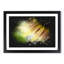 Sunflower Vol.1 Paint Splash - Picture Frame Graphic Art-62806915-62806918