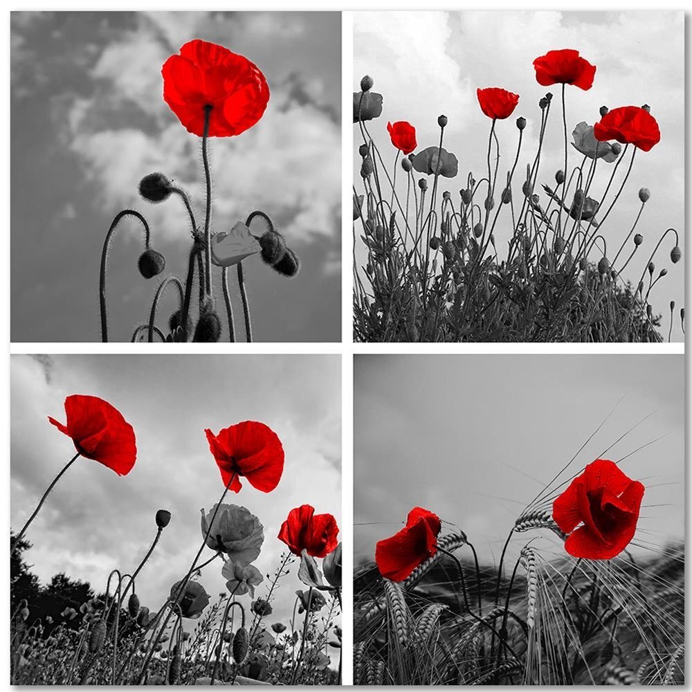 Leinwandbild Red Poppies