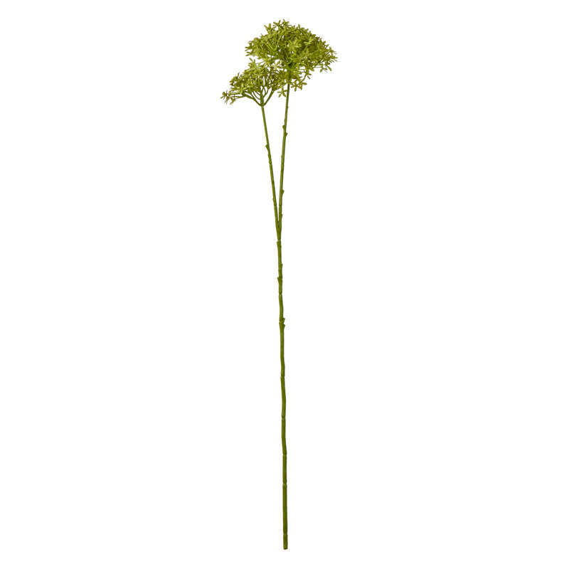 Hydrangea Arrangement, Green