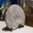 Iridescent Ammonite Fossil-591592083