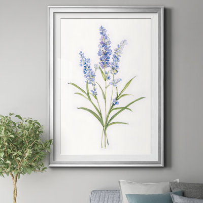 " Dainty Botanical Lavender " Painting Print