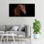 Brown Horse - Wrapped Canvas Print