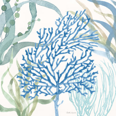 Soft Shores VI