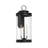Benioff 2-Light Outdoor Wall Lantern-976648397