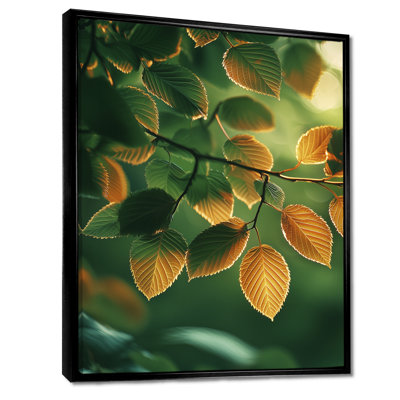 Sun-Kissed Leaves II - Leaves Canvas Print