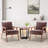 Mid-Century Modern Accent Chair With Solid Wood Frame, Extra-Thick Backrest, And Versatile Design For Living Room, Bedroom, And Reading Nook-156869364