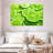 Yarlin Lime Slices-108730368