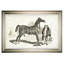 « équin sketch vii », impression-28042138-28042306-28042310