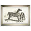 « équin sketch vii », impression-28042306-28042138-28042310