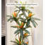Plantes vertes artificielles de luxe et luxueuses avec des plantes en pot d'hibiscus rouges. Ornements de décoration pour plancher d'intérieur.