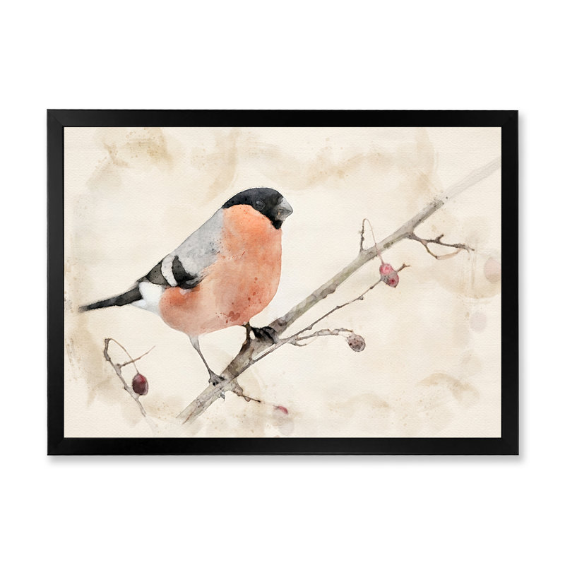 Bouvreuil beige, reproduction de cadre flottant sur toile, Cadre photo noir, H 8 po x l 12 po x P 1 po