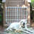 Outdoor Safety Gate-11932306