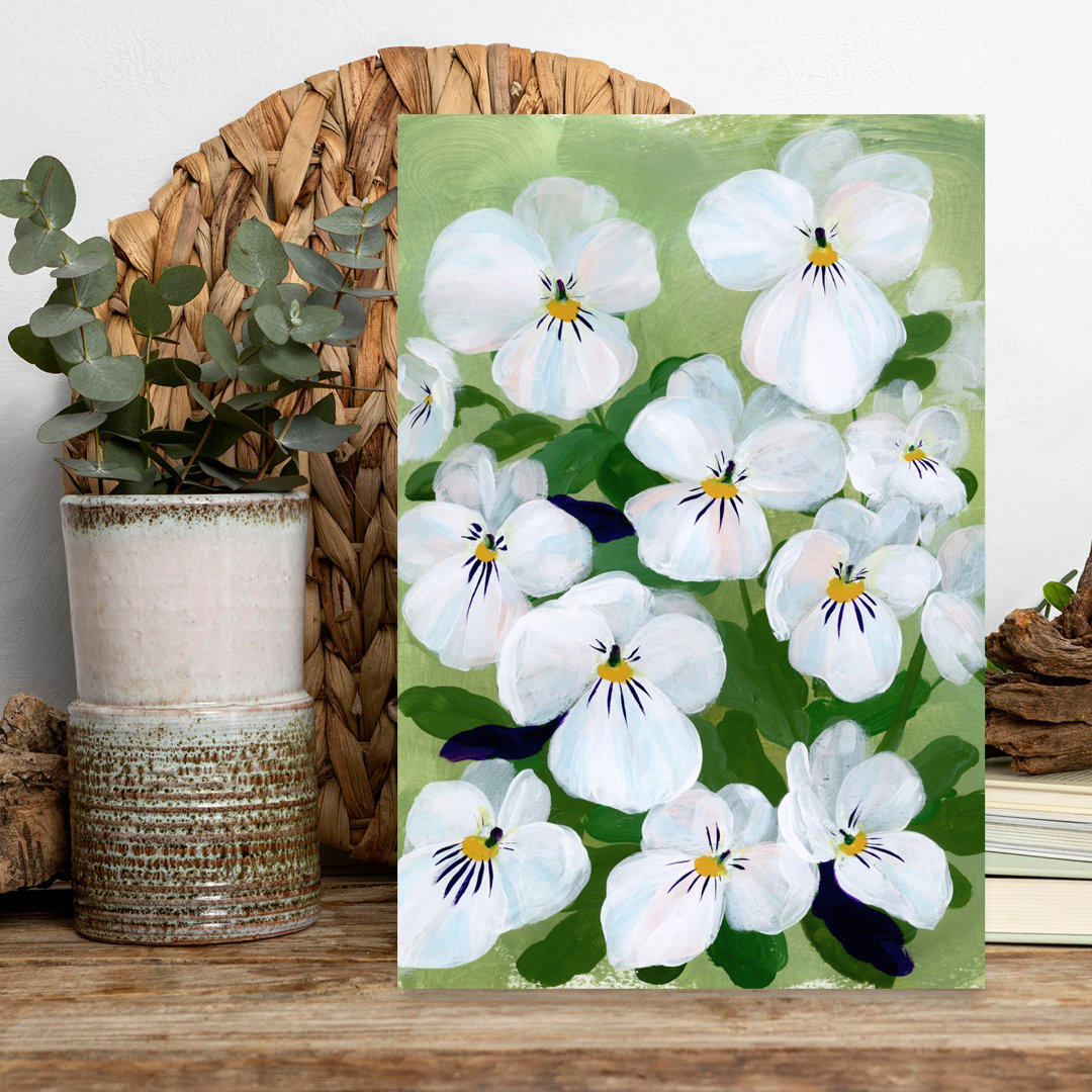 Blooming White Pansies Pansy Flower Nature Wall Art Print