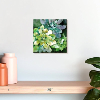 Harnek Summer Succulents