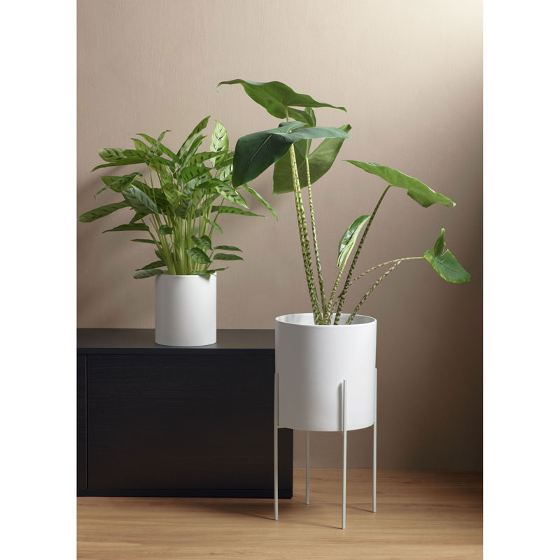 ASA Selection Haruko Cachepot, White, 29cm H x 27.5cm W x 27.5cm D