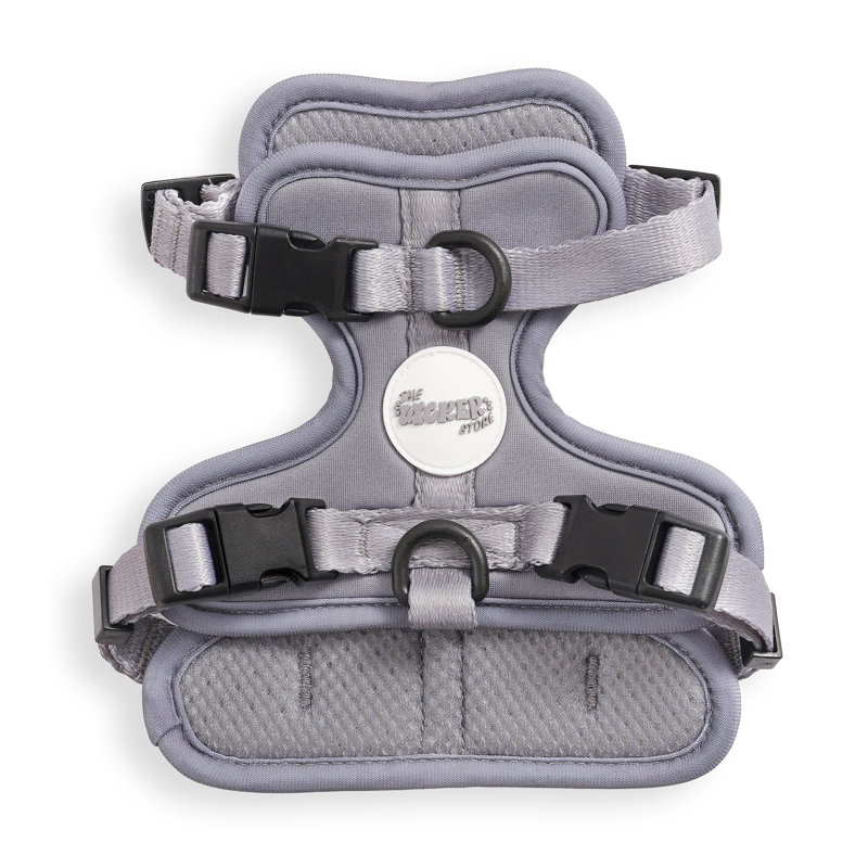 Harnais pour animal de compagnie Arlo, Gris