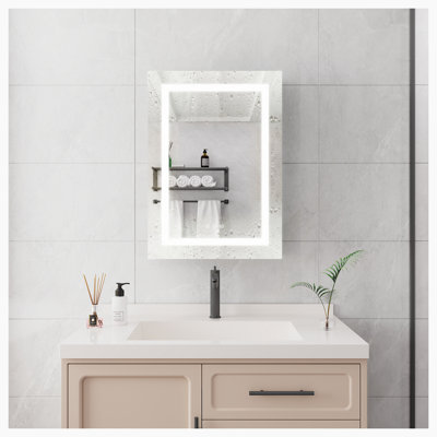 Darnby 28'' W 20'' H Surface Mount Framed Medicine Cabinet Mirror