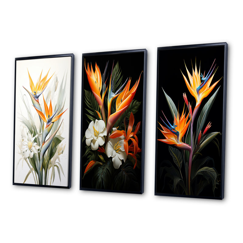 «Birds Of Paradise Paradise», 3 pièces, H 28 po x l 36 po, Cadre noir