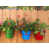 Sauge / bleu / rouge / brun est en rupture de stock
