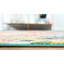 Tapis turquoise Jahanna-1887768113