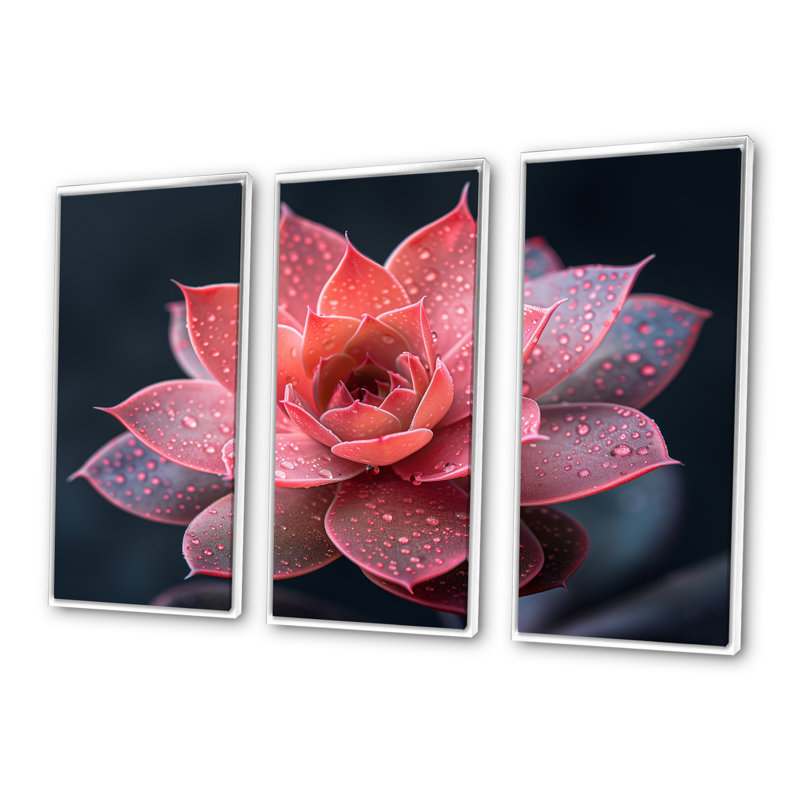 Tousignant - Succulent Wall Art Set, 28" H x 36" W x 1" D, White Floater Framed Canvas