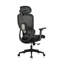 Saif Polyester Office Chair with Headrest-1961302993