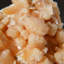 Stilbite sur Matrix du Jalgaon District, Maharashtra, Inde