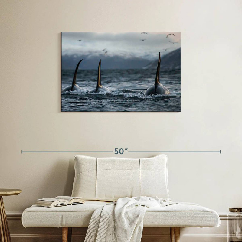 Brampt Norway Orca Trio, 24" H x 36" W