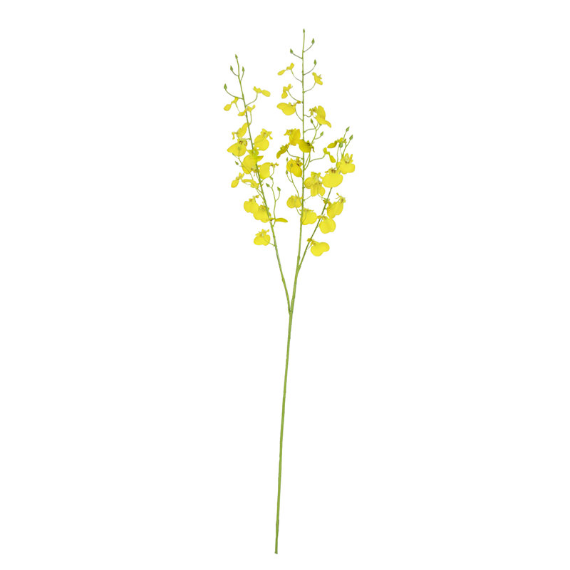 Vaporisateur d'orchidées dansantes, Jaune