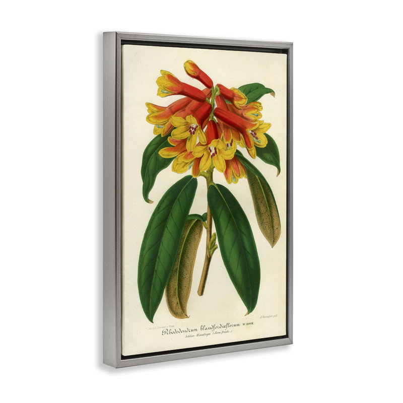 Cadre flottant orange rhododendron jaune, design par Print Collection, H 25 po x l 17 po, Cadre flottant gris lustré