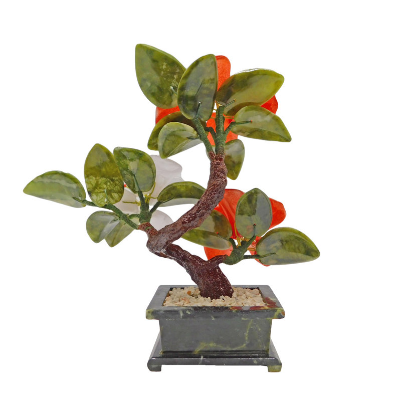  Oriental Jade Flower Tree