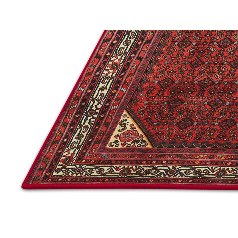 Oriental Indoor Rug, Rectangle 5' x 7'