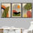 Mid Century Modern Boho Tropical Palm Leaf - 3 Piece Floater Frame Graphic Art Set on Canvas-73721065-73721067