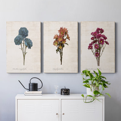 " Sketchbook Chrysanthemum " 3 - Pieces