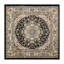 Tapis à motif de médaillon en oléfine Damora-892836111
