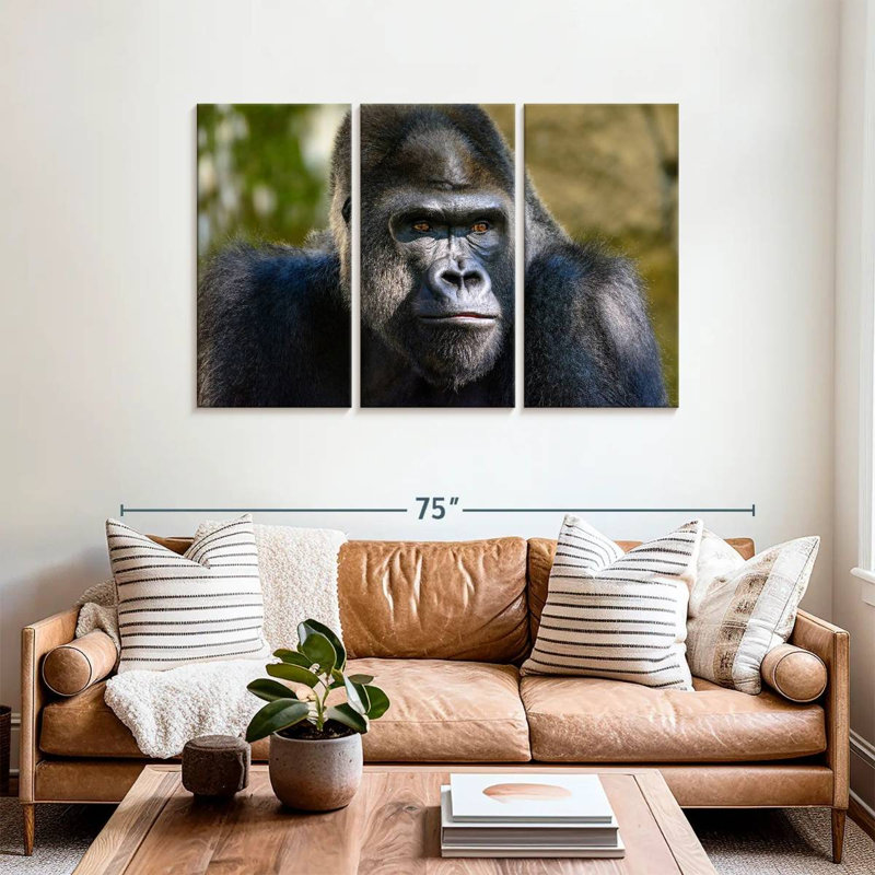 Mountain Gorilla, 36" H x 57" W