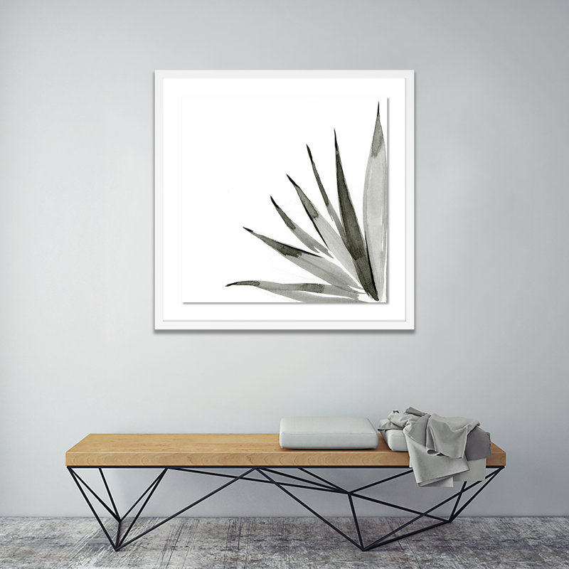 Agave I Print by Jess Engle, 40" H x 40" W x 2.5" D, White