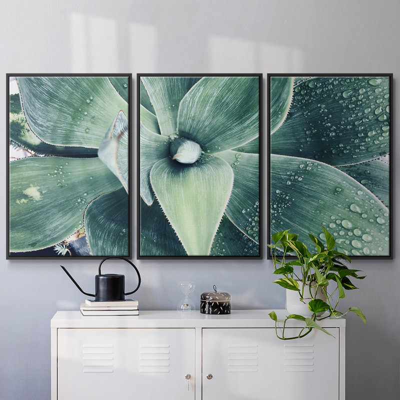 «Green Tropical Succulent», reproduction d'art encadrée sur toile, 3 pièces, Noir, H 36 po x l 75 po x P 2 po