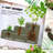 Outsunny 3-Tier Galvanized Steel Raised Garden Bed Kit, 62.25" X 43" X 32.25", 3 Combining Planter Boxes With Rubber Strip Edging, Open Bottom For Backyard, Garden, Patio-789893436