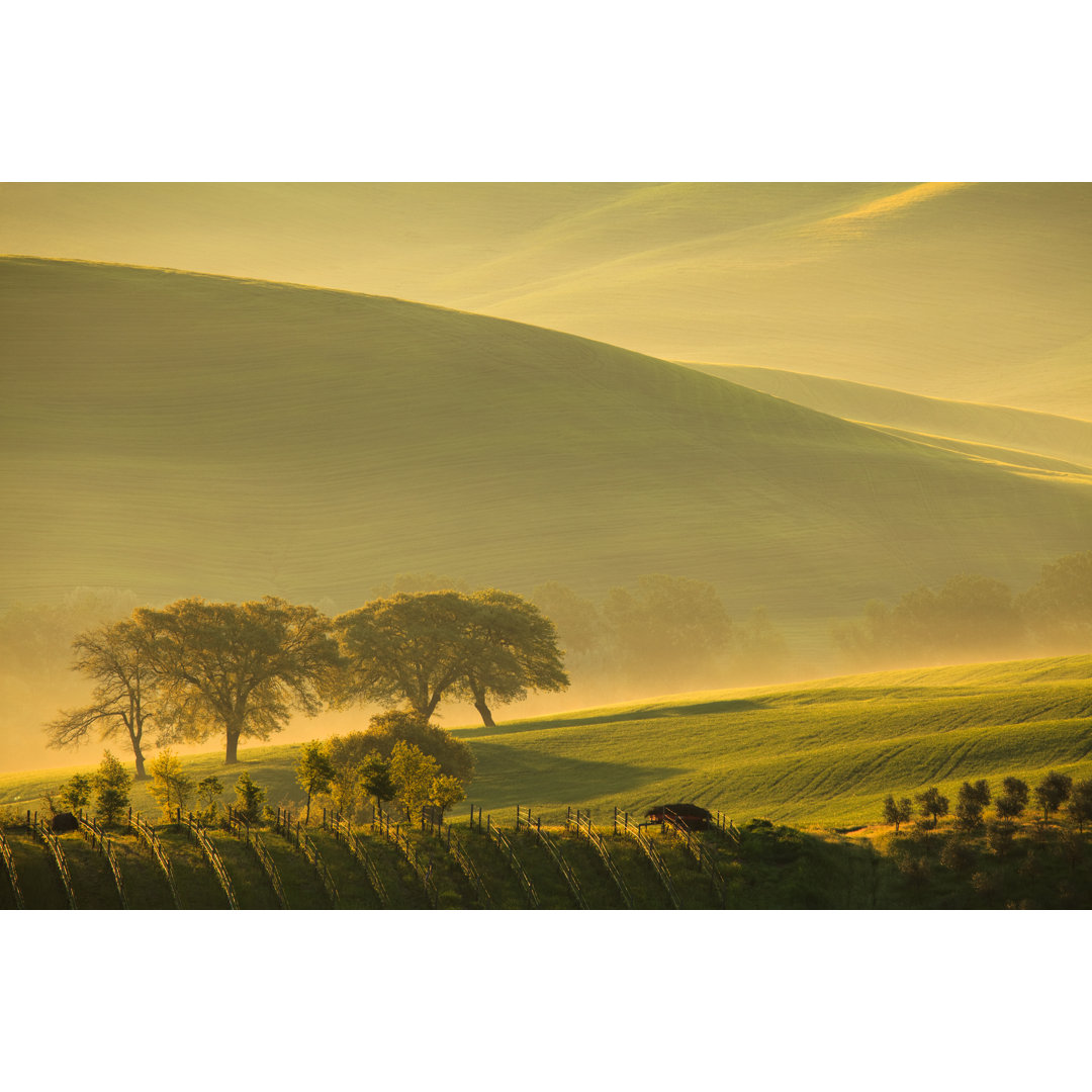 Toskana-Landschaft von Melki76 - Kunstdrucke auf Leinwand ohne Rahmen