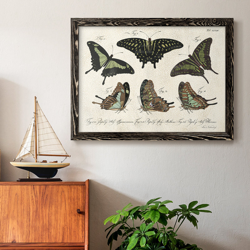 «Crackled Butterflies II», peinture sur toile encadrée, H 18 po x l 26 po x P 1,5 po, Noir