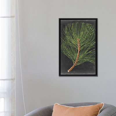 «Dramatic Pine III», impression sur toile