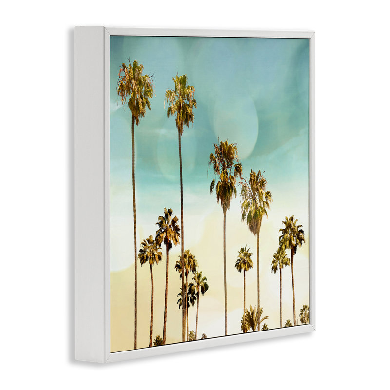 «Palm Tree Beach Sky White», estampe numérique par Devon Davis, Estampe numérique encadrée blanc bord de mer